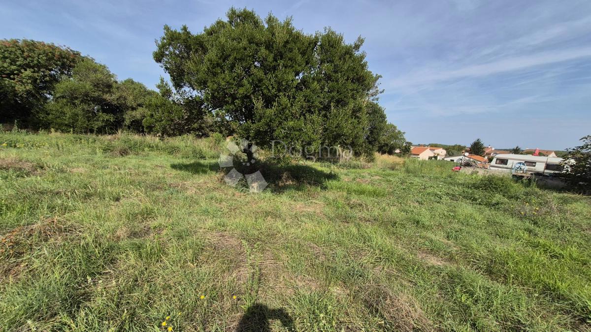 Superficie terreno edificabile 541m2