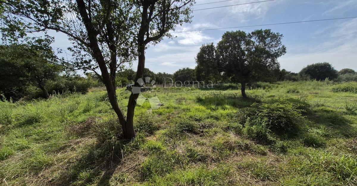 Superficie terreno edificabile 541m2