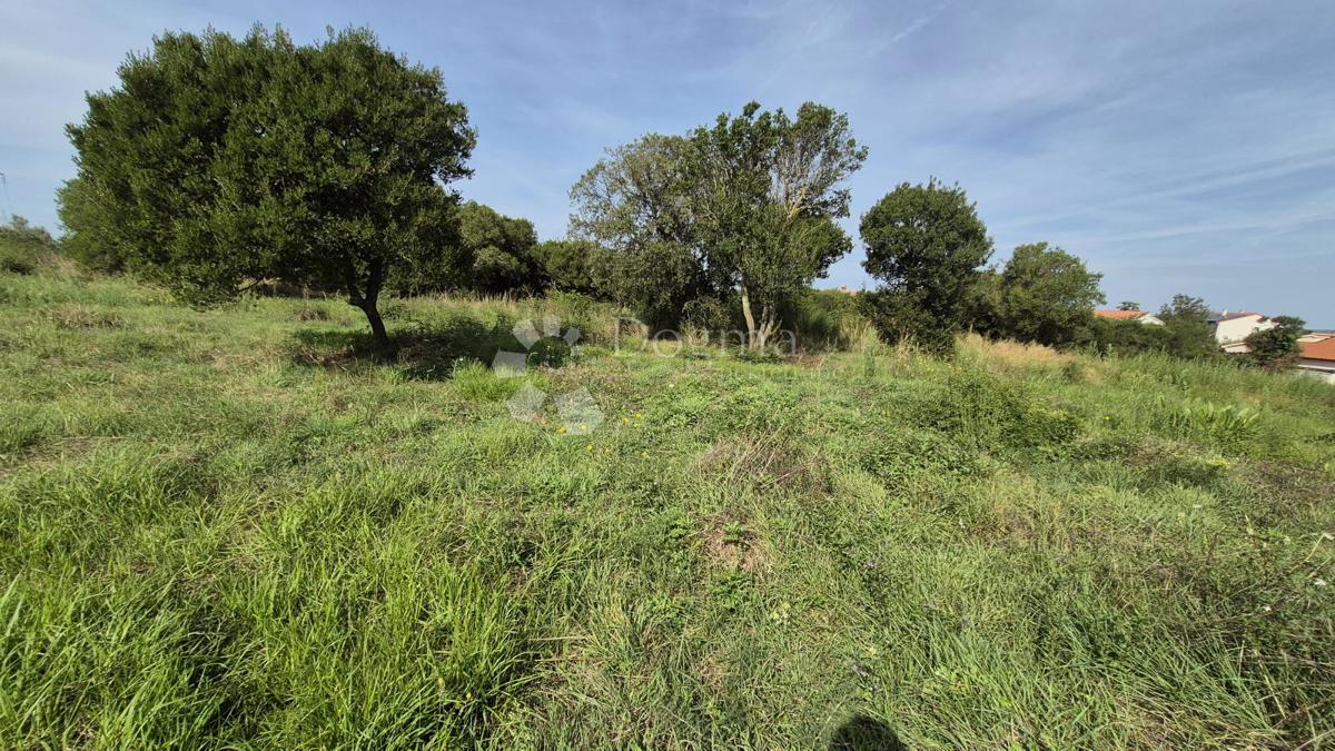 Superficie terreno edificabile 541m2