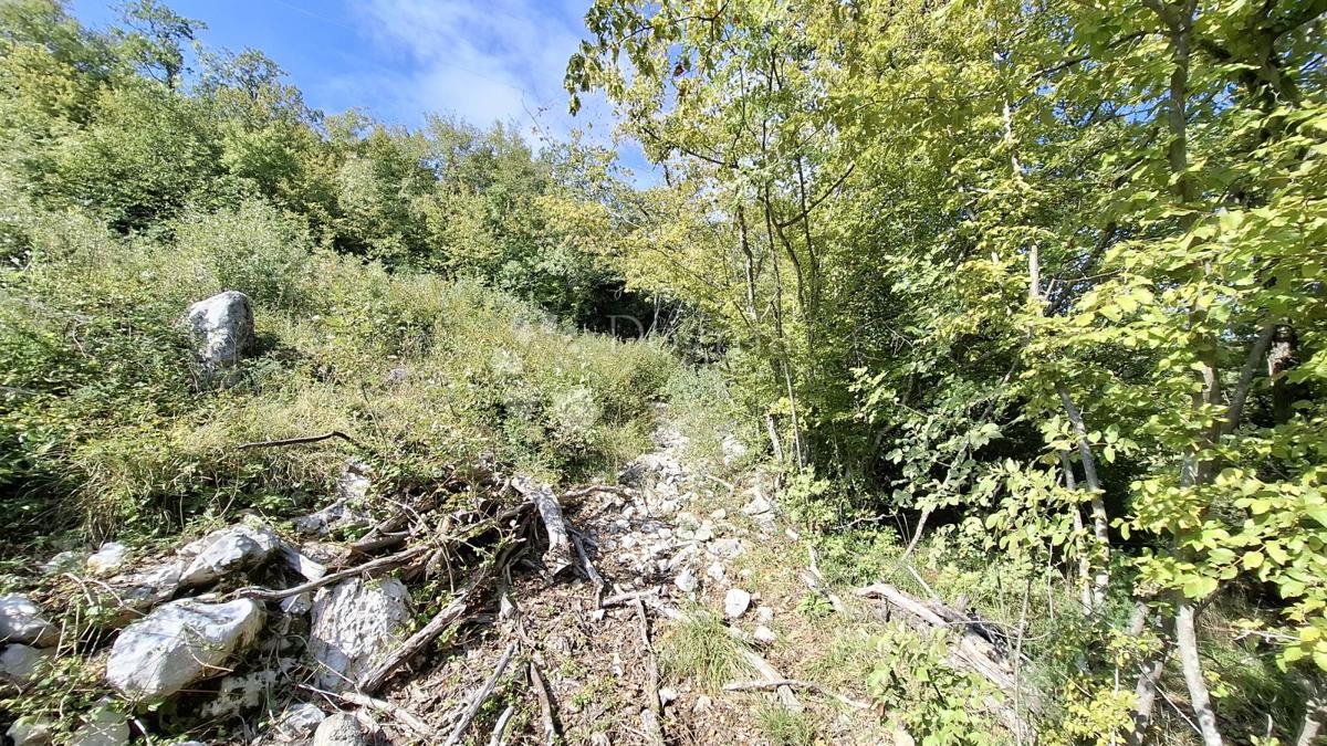 Terreno edificabile Brseč, Mošćenička Draga, 6.510m2