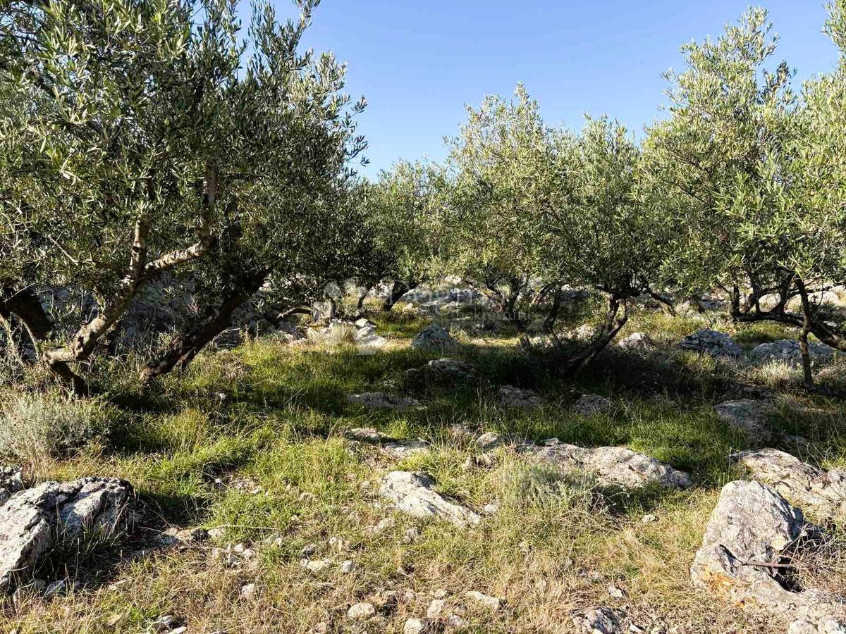 Terreno agricolo Grad Krk, Krk, 8.000m2