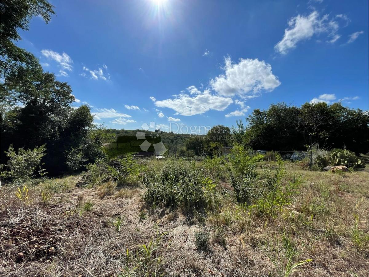 Terreno edificabile Buje, 535m2