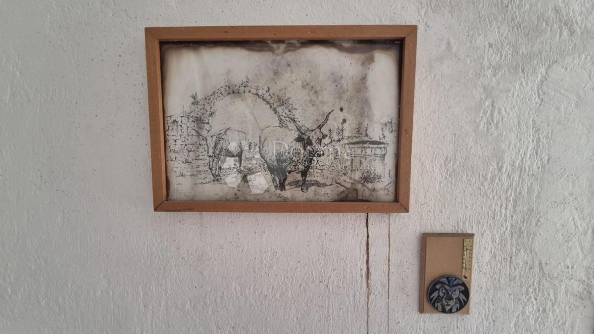 Tenuta di famiglia vicino a Žminj