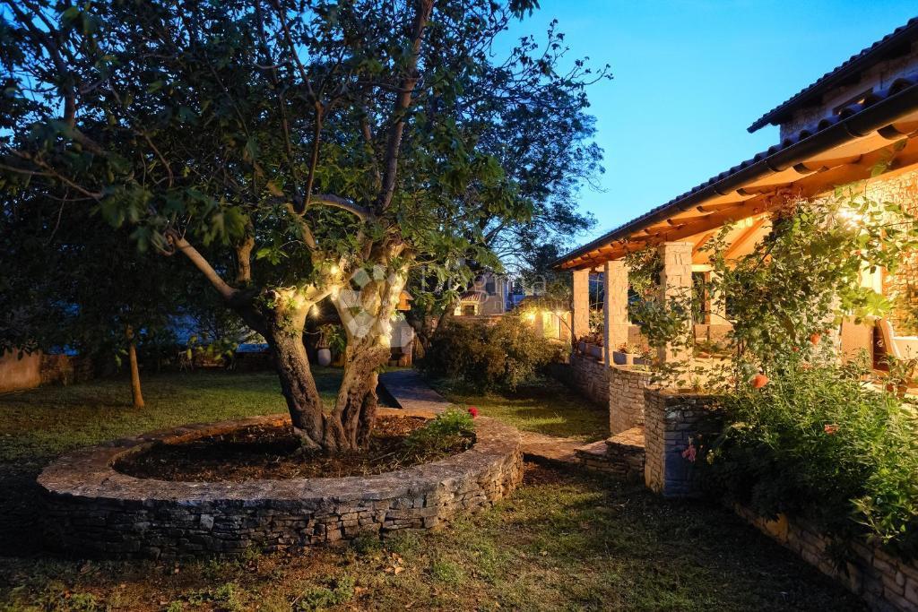 Casa tradizionale in pietra con taverna e uliveto