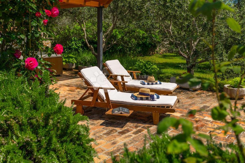 Casa tradizionale in pietra con taverna e uliveto