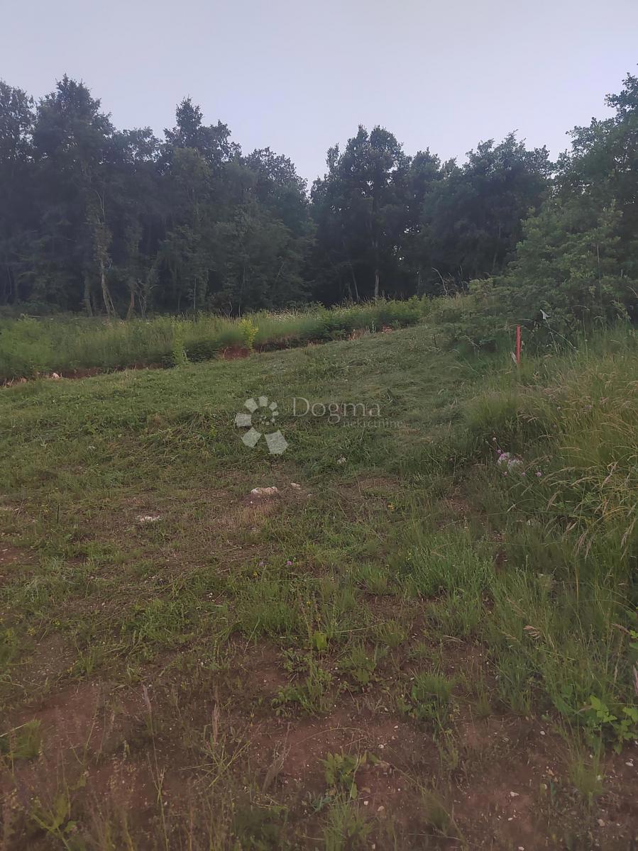 Terreno edificabile in posizione tranquilla