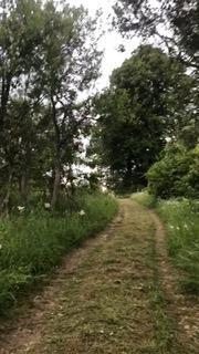 Terreno agricolo Tržić Primišljanski, Slunj, 81.806m2