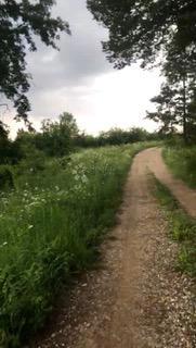 Terreno agricolo Tržić Primišljanski, Slunj, 81.806m2