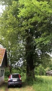 Terreno agricolo Tržić Primišljanski, Slunj, 81.806m2