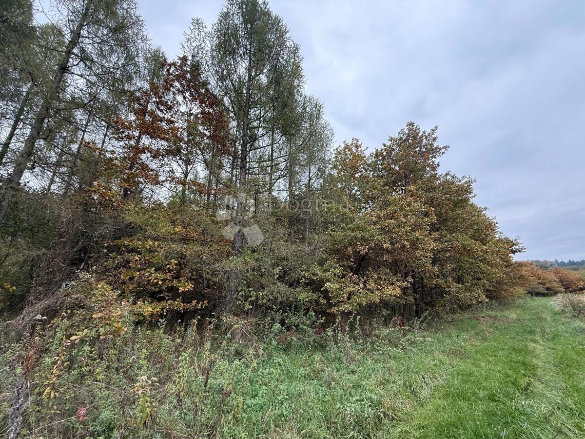 Terreno agricolo Čalinec, Maruševec, 1.446m2