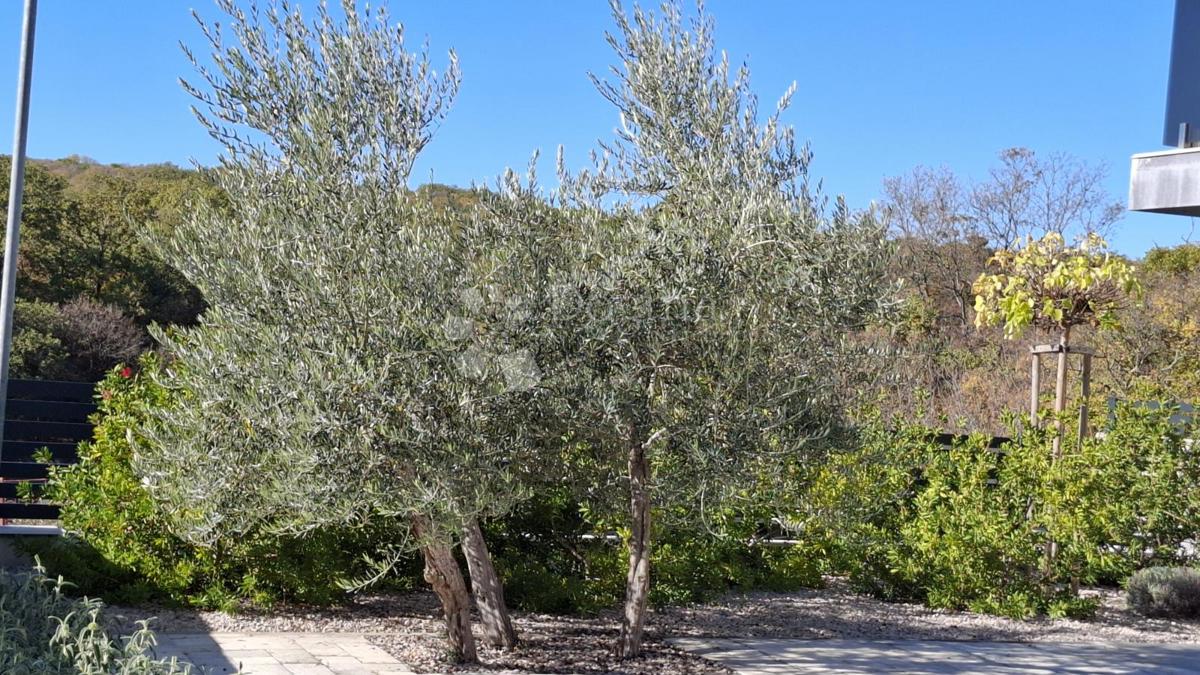 Casa Kornić, Krk, 150m2