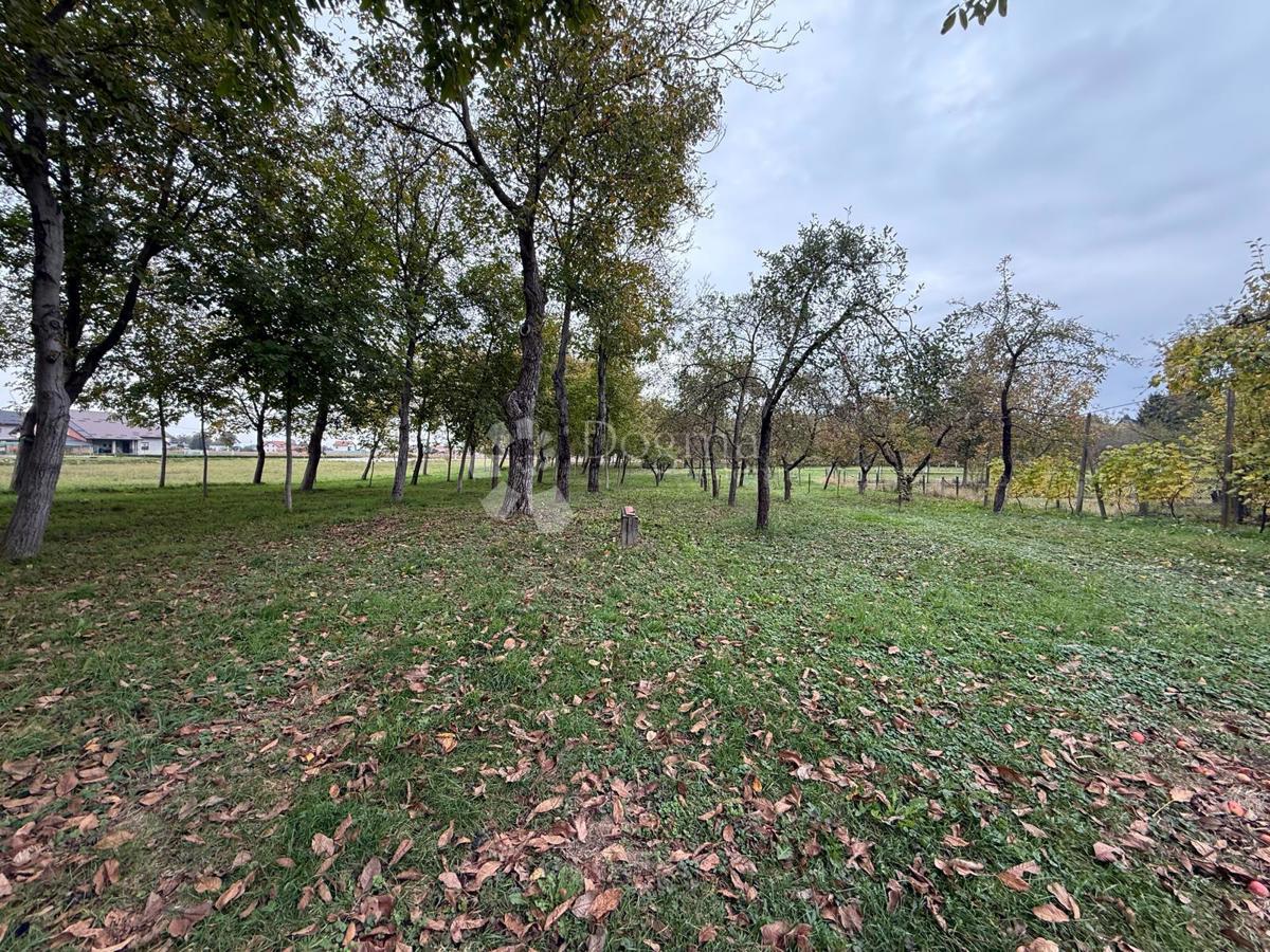 Casa Čalinec, Maruševec, 7.188m2