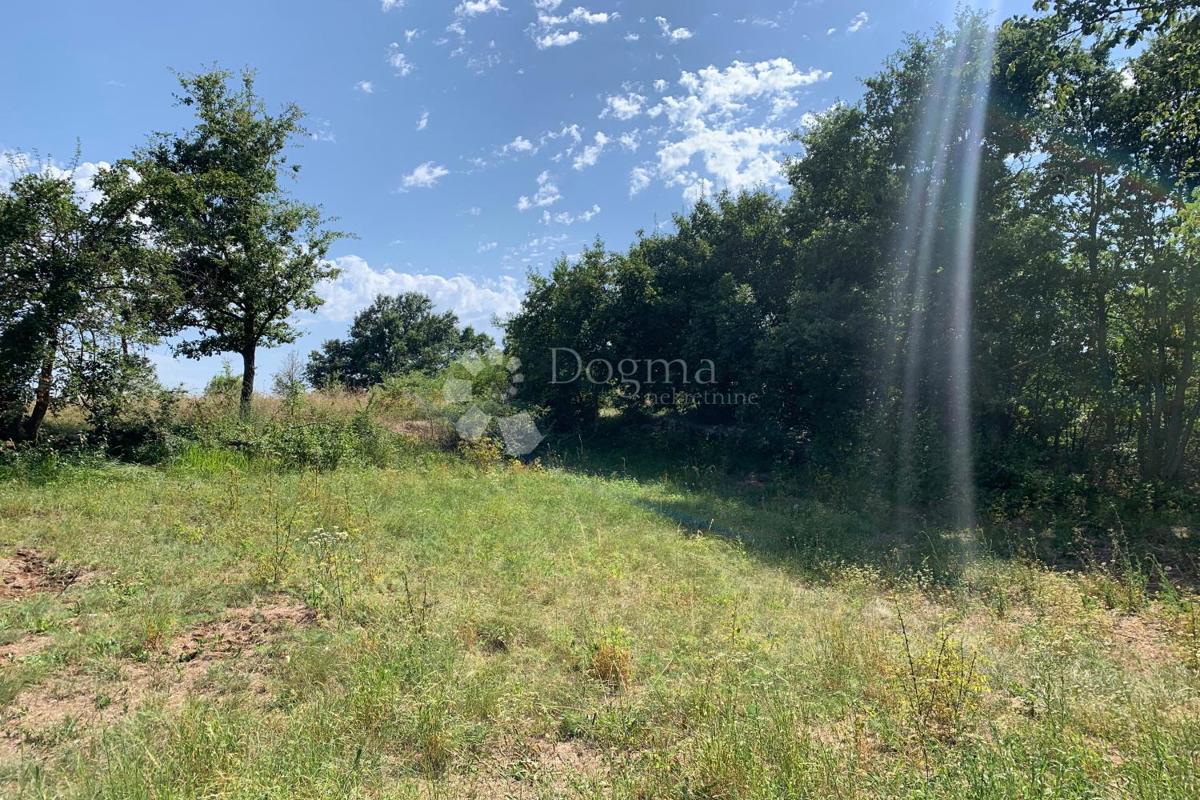 Terreno Vidulini, Žminj, 930m2