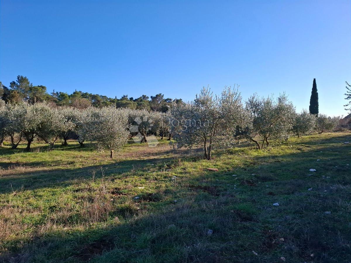 Terreno edificabile Rakalj, Marčana, 2.422m2