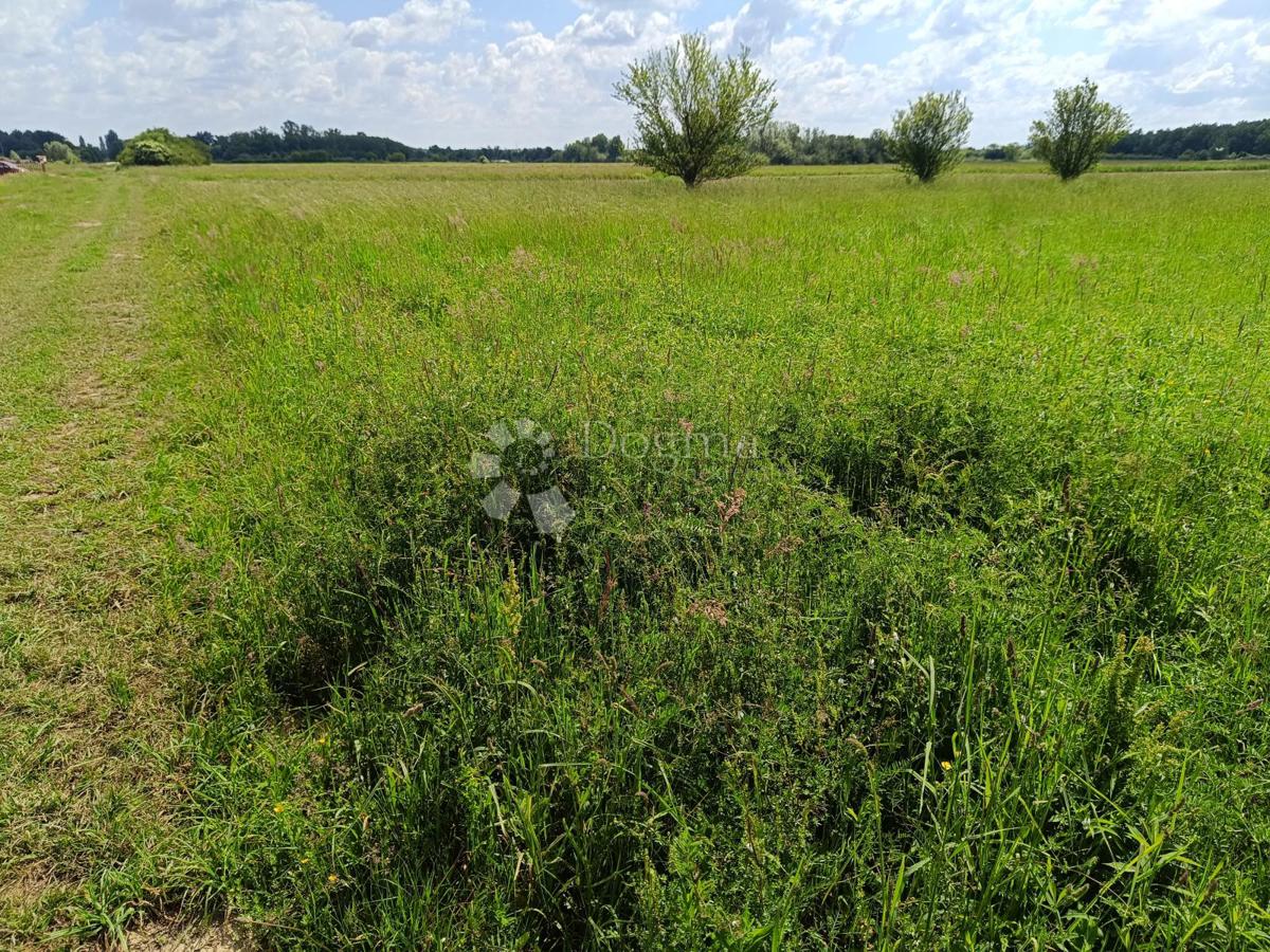 Terreno edificabile Donja Zdenčina, Klinča Sela, 9.600m2