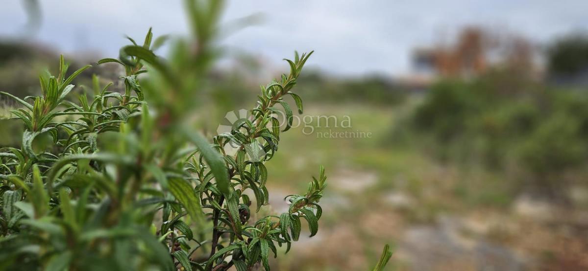 Terreno edificabile Barbariga, Vodnjan, 534m2