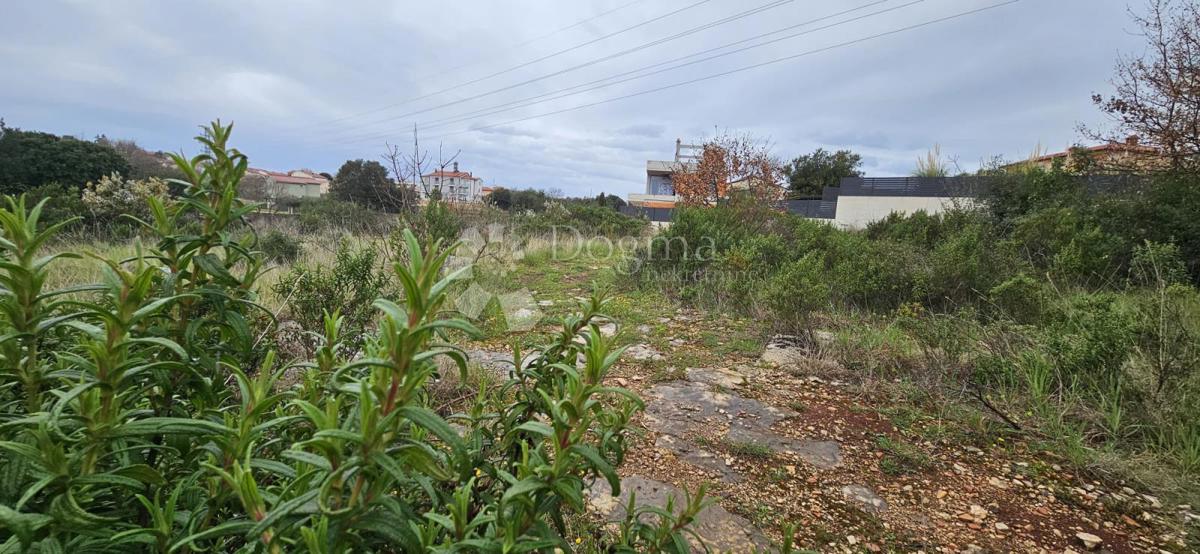 Terreno edificabile Barbariga, Vodnjan, 534m2