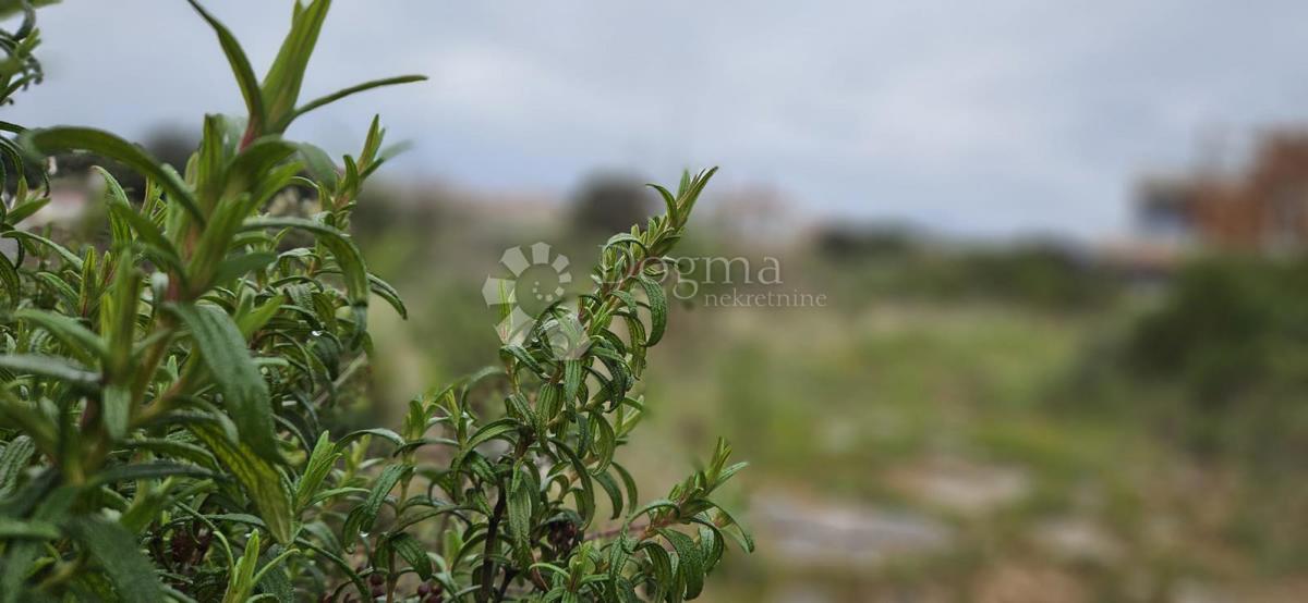 Terreno edificabile Barbariga, Vodnjan, 534m2