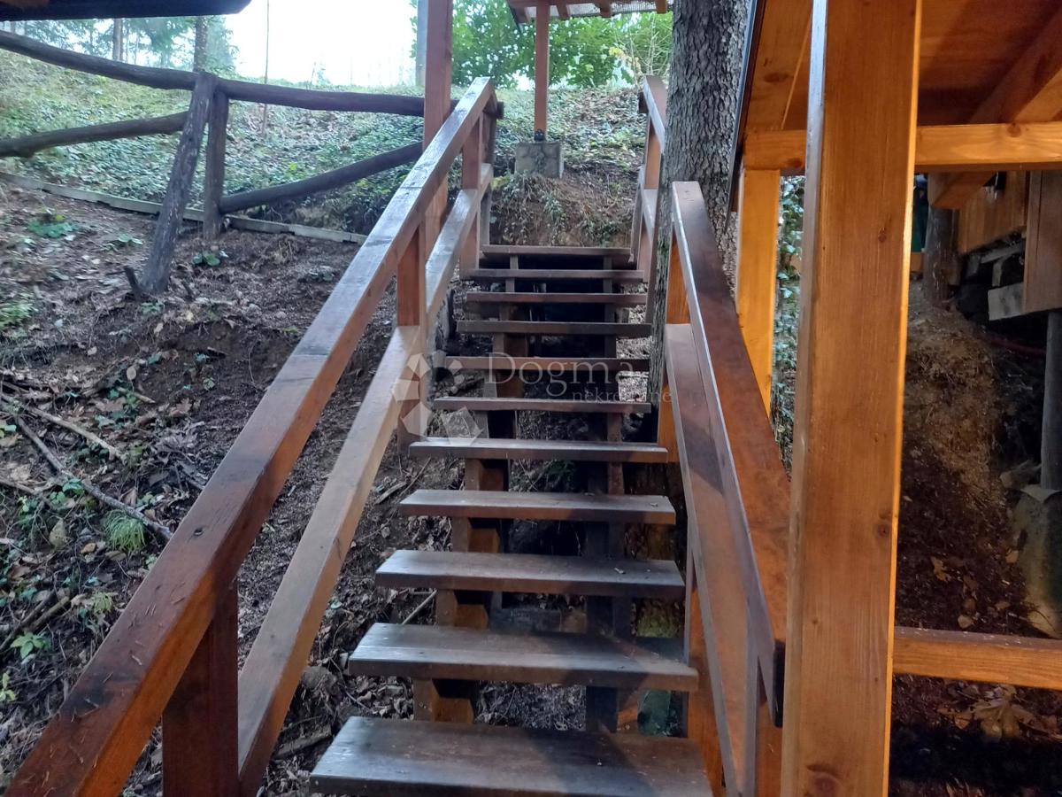 Bungalow nella foresta con SPA privata