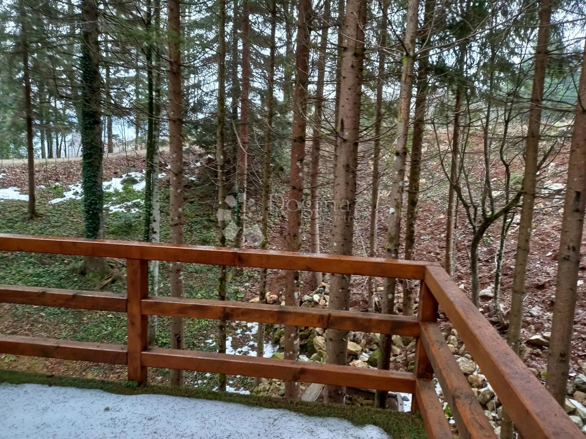 Bungalow nella foresta con SPA privata