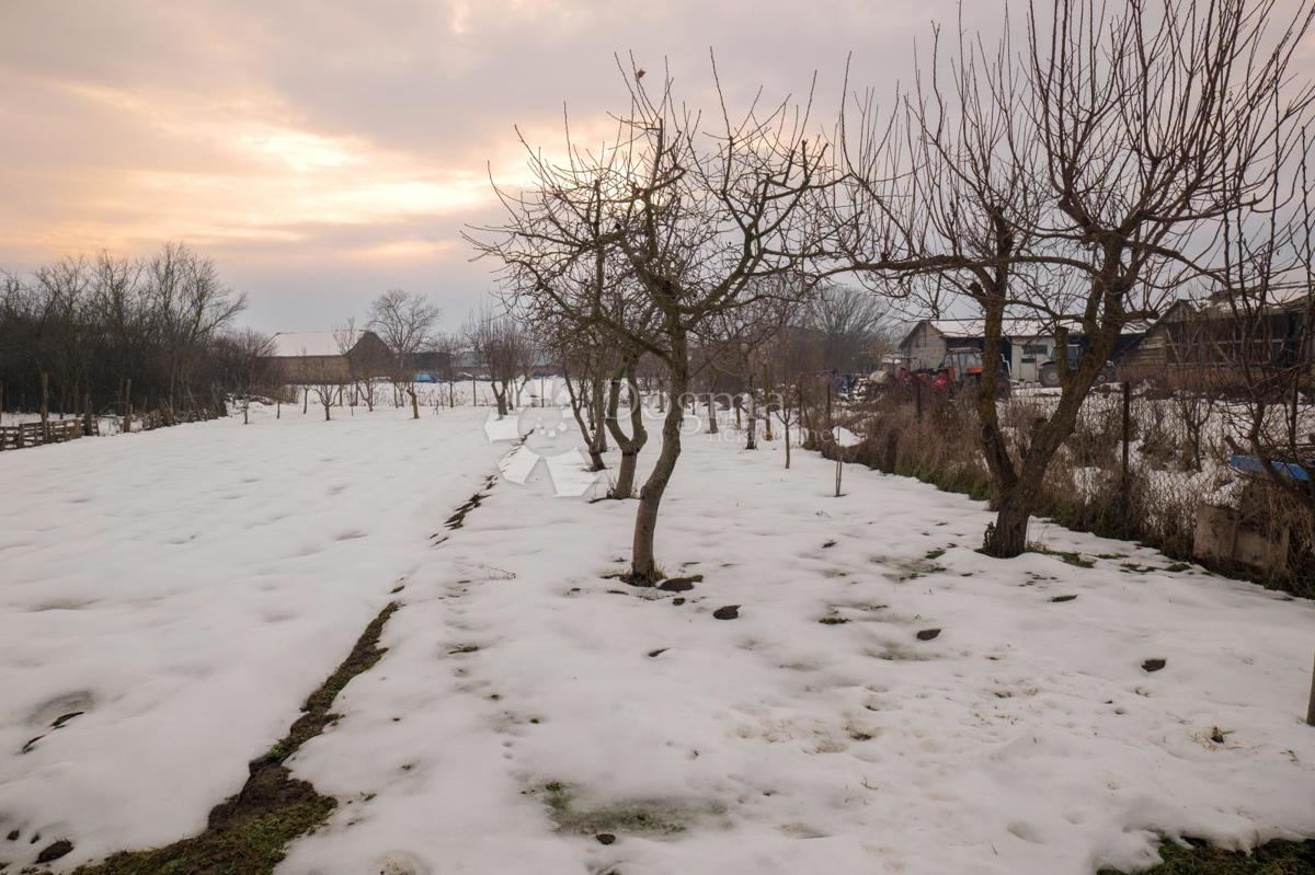 Casa Bobota, Trpinja, 135m2