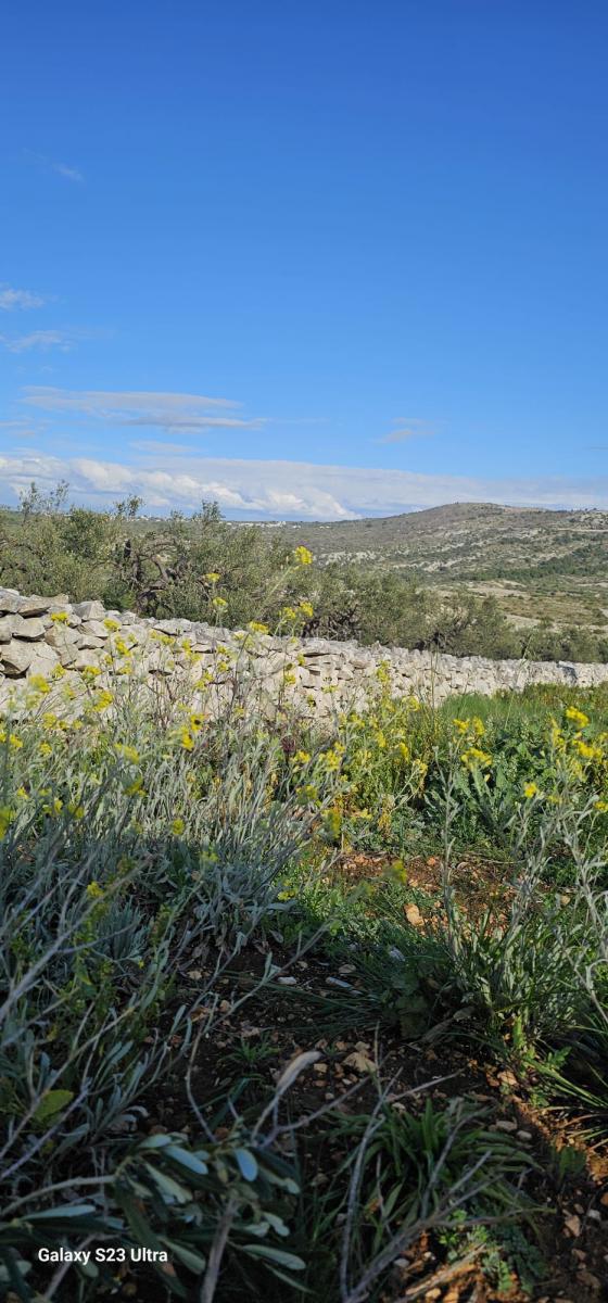 Terreno agricolo Ložnice, Primošten, 2.484m2