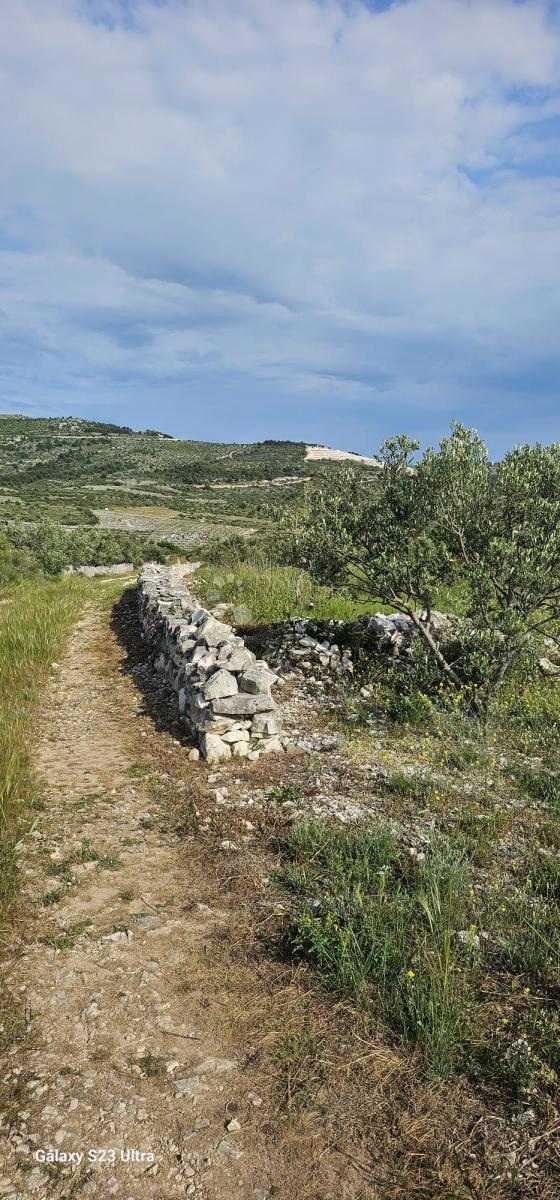 Terreno agricolo Ložnice, Primošten, 2.484m2