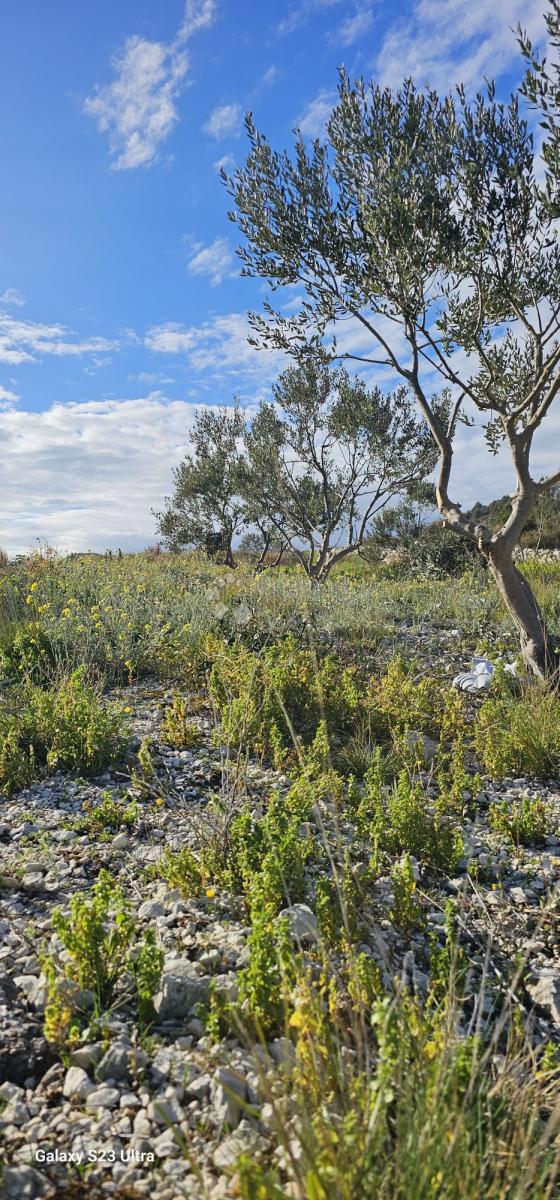 Terreno agricolo Ložnice, Primošten, 2.484m2