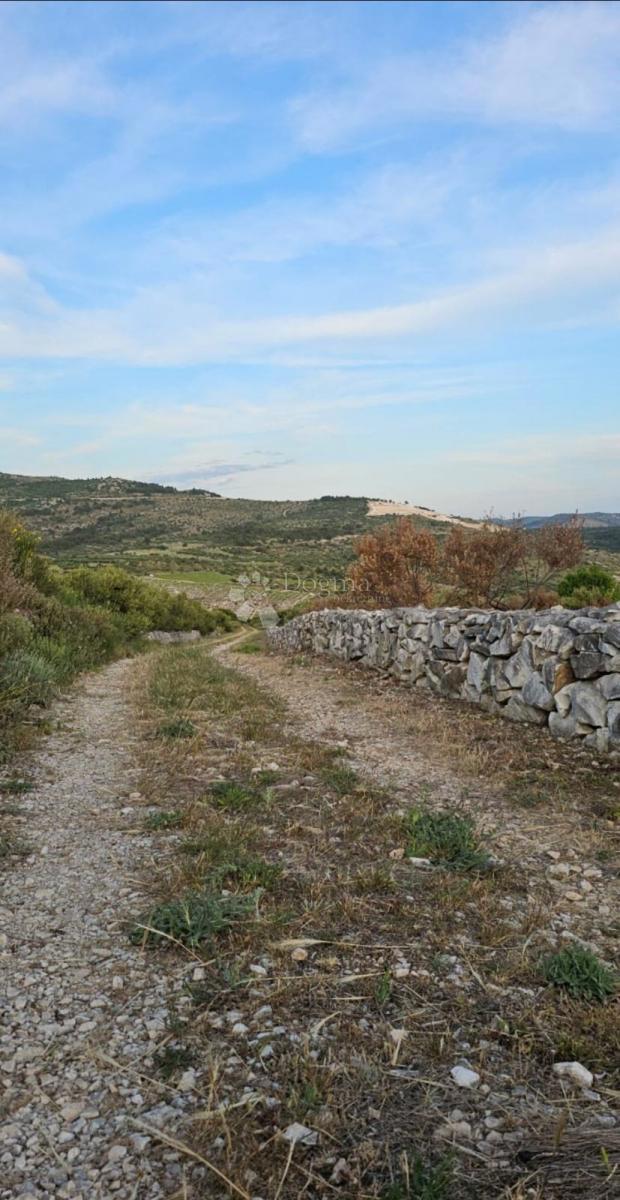 Terreno agricolo Ložnice, Primošten, 2.484m2