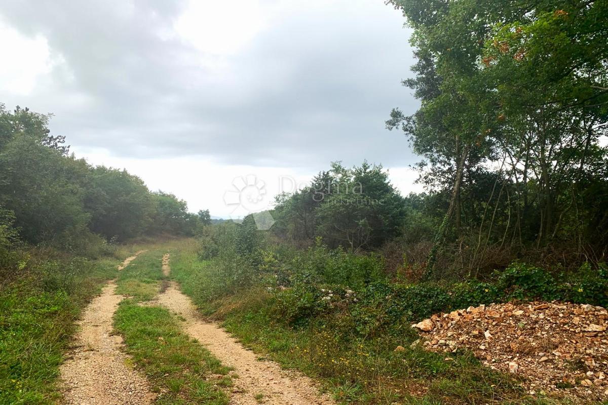 Terreno Belavići, Marčana, 2.005m2