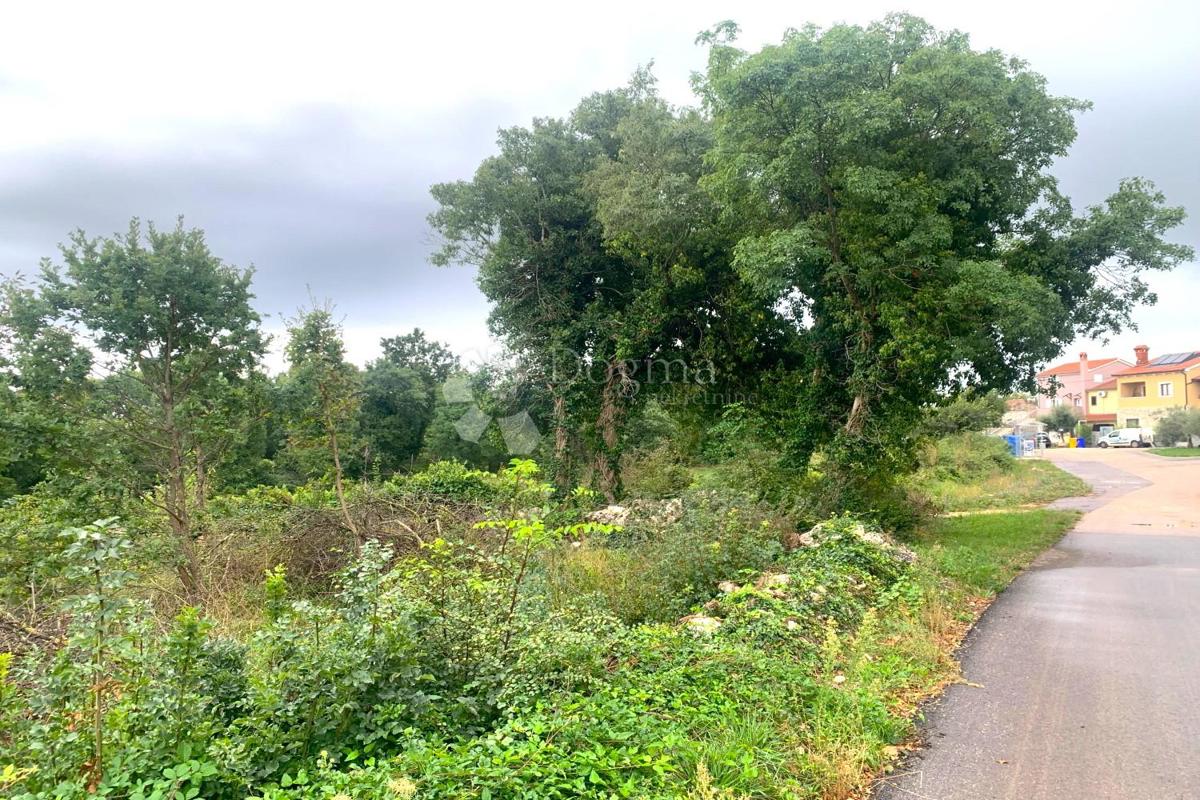 Terreno Belavići, Marčana, 2.005m2