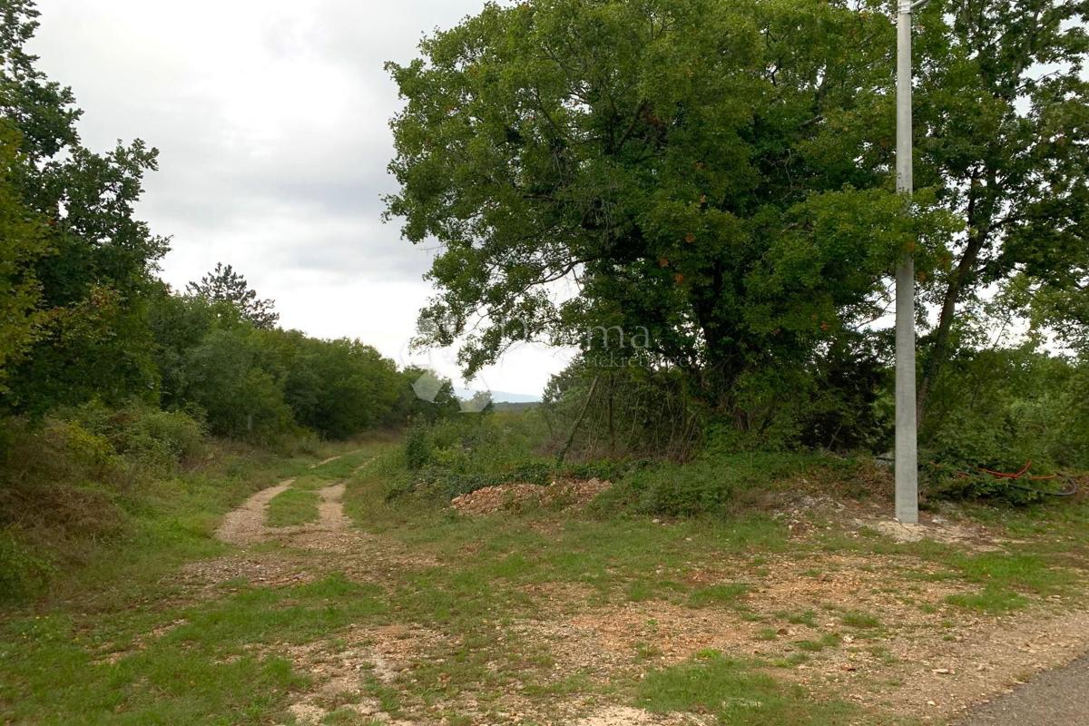 Terreno Belavići, Marčana, 2.005m2