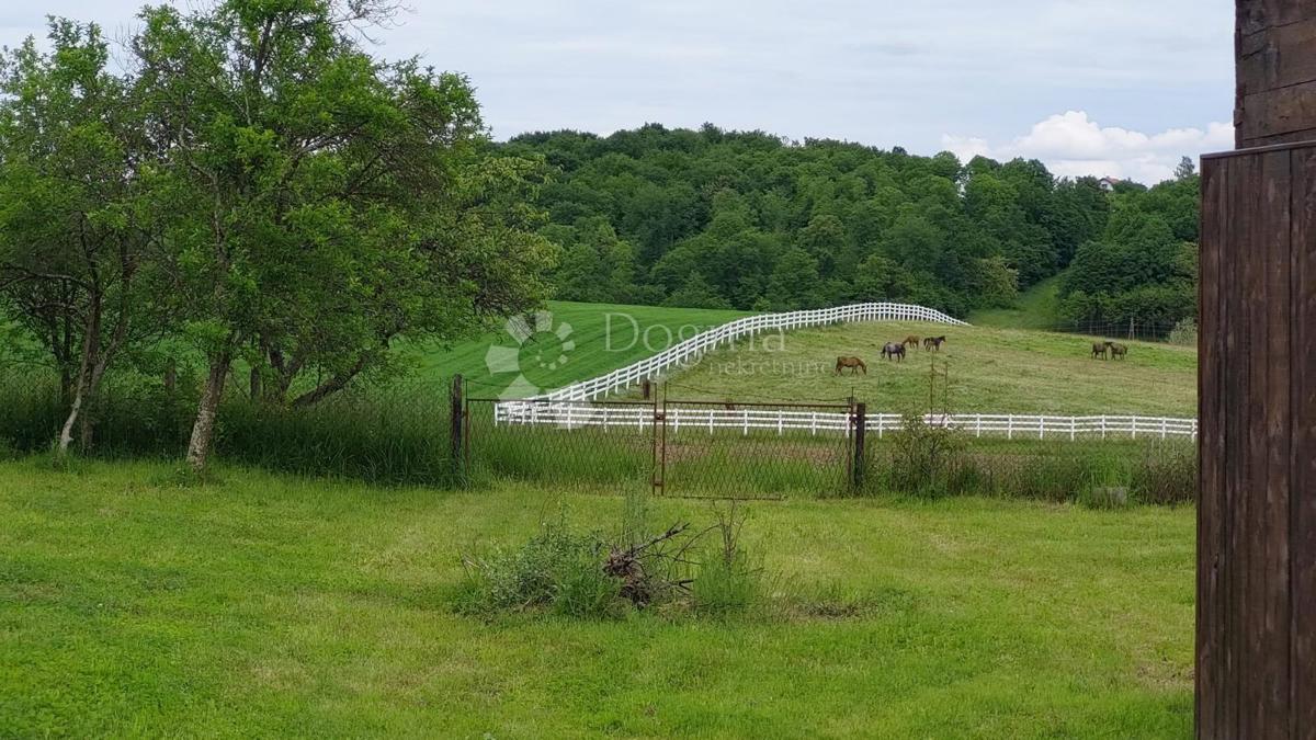 Casa Dapci, Čazma, 97m2
