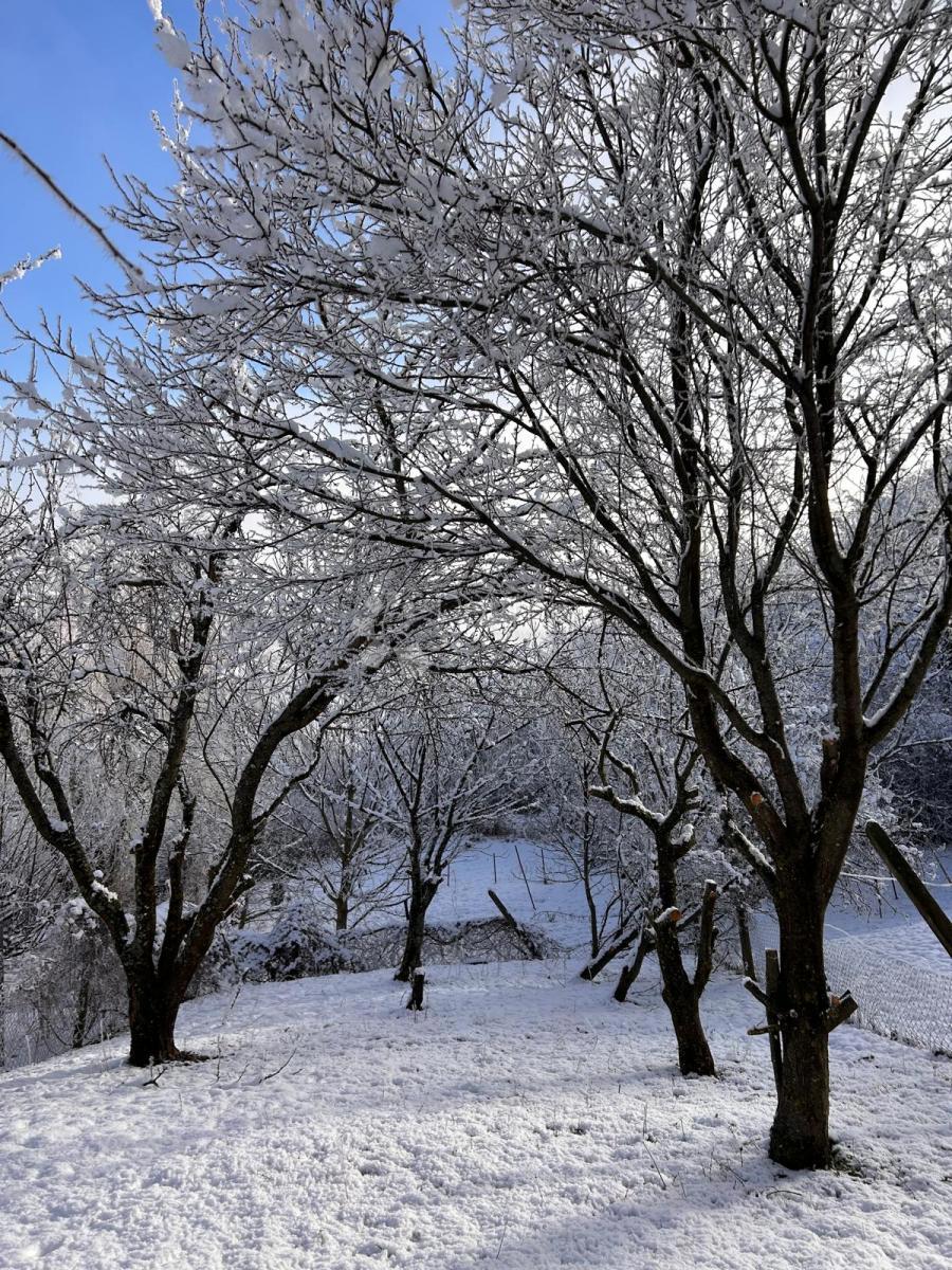 Casa Vlaškovec, Jastrebarsko - Okolica, 70m2