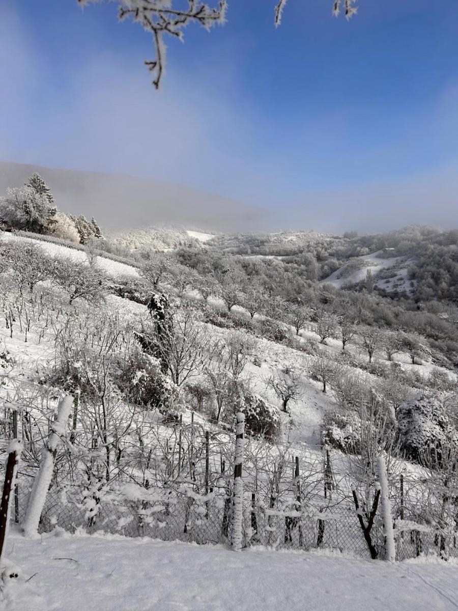 Casa Vlaškovec, Jastrebarsko - Okolica, 70m2