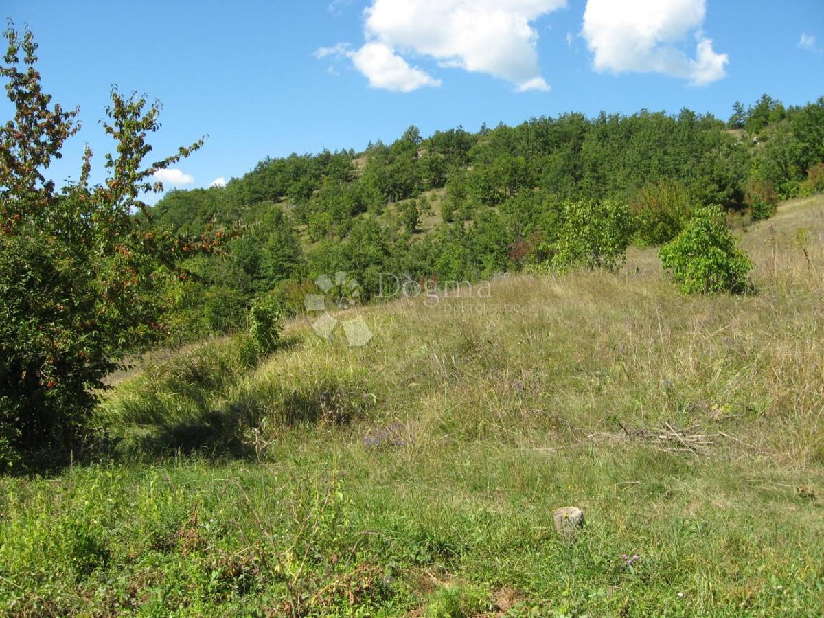 Casa Grab, Gračac, 324m2