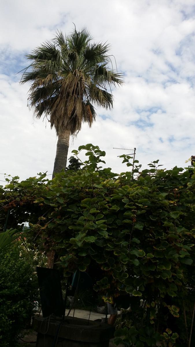 Casa Kaštel Štafilić, Kaštela, 210m2