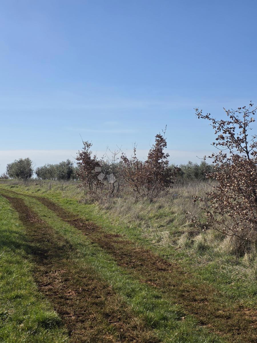Terreno edificabile Kaštelir, Kaštelir-Labinci, 1.200m2