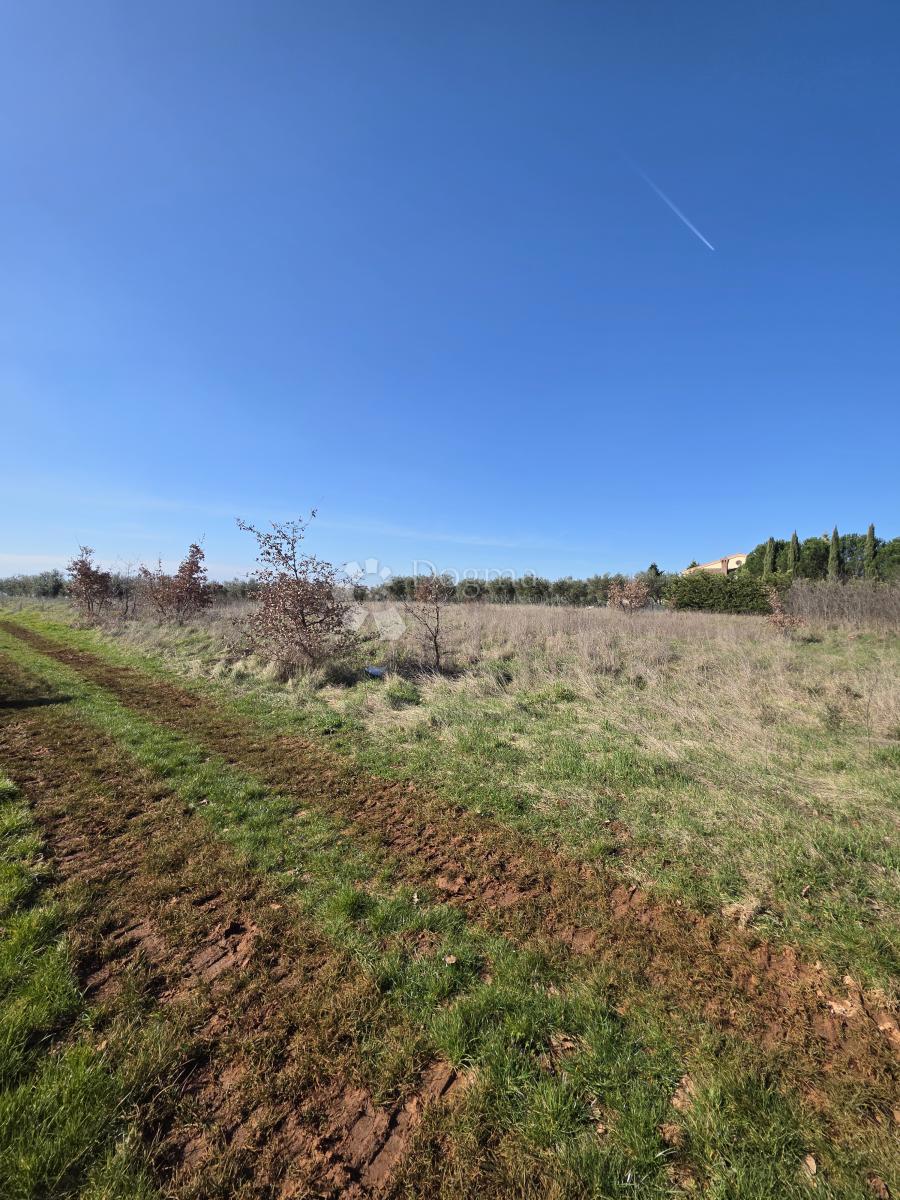 Terreno edificabile Kaštelir, Kaštelir-Labinci, 1.200m2