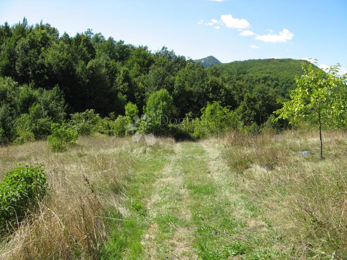 Terreno agricolo Grab, Gračac, 36.000m2