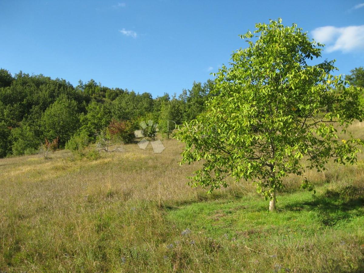 Terreno agricolo Grab, Gračac, 36.000m2