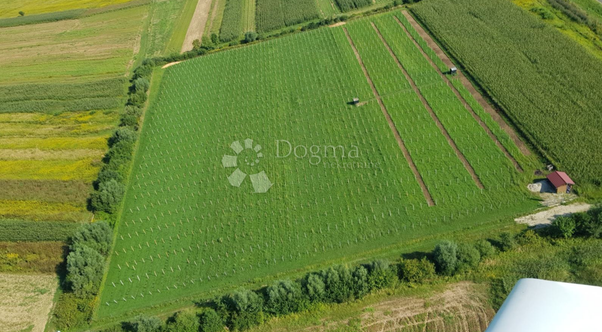Terreno agricolo Gornji Kućan, Varaždin - Okolica, 34.985m2
