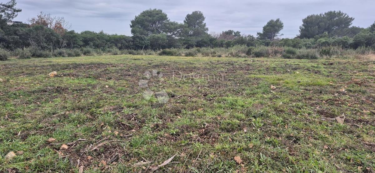 Terreno edificabile Monteserpo - Komunal, Pula, 700m2