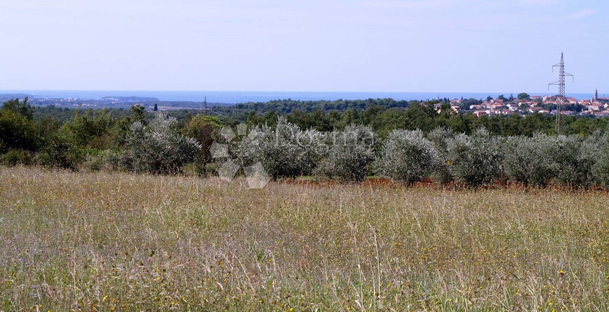 Terreno Rogovići, Kaštelir-Labinci, 80.112m2