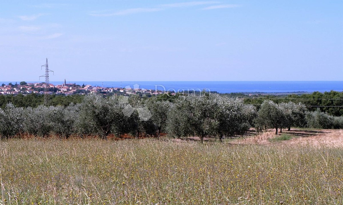 Terreno Rogovići, Kaštelir-Labinci, 80.112m2