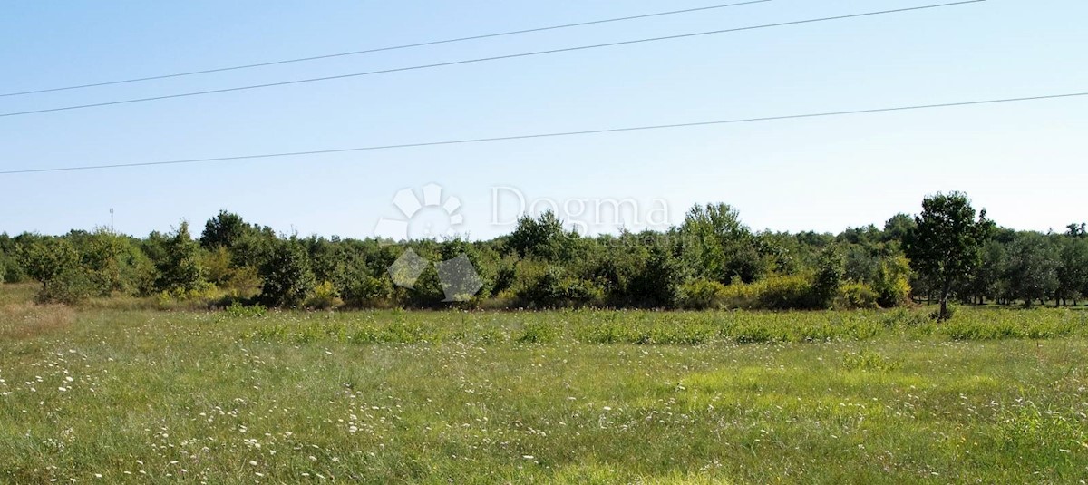 Terreno Rogovići, Kaštelir-Labinci, 80.112m2