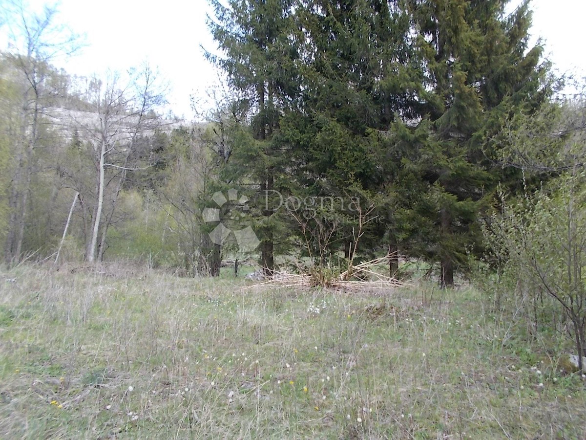 Terreno Fužine, 11.000m2