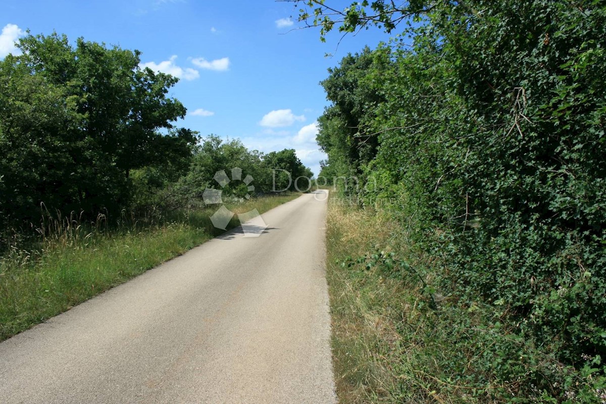 Terreno Svetvinčenat, 12.607m2