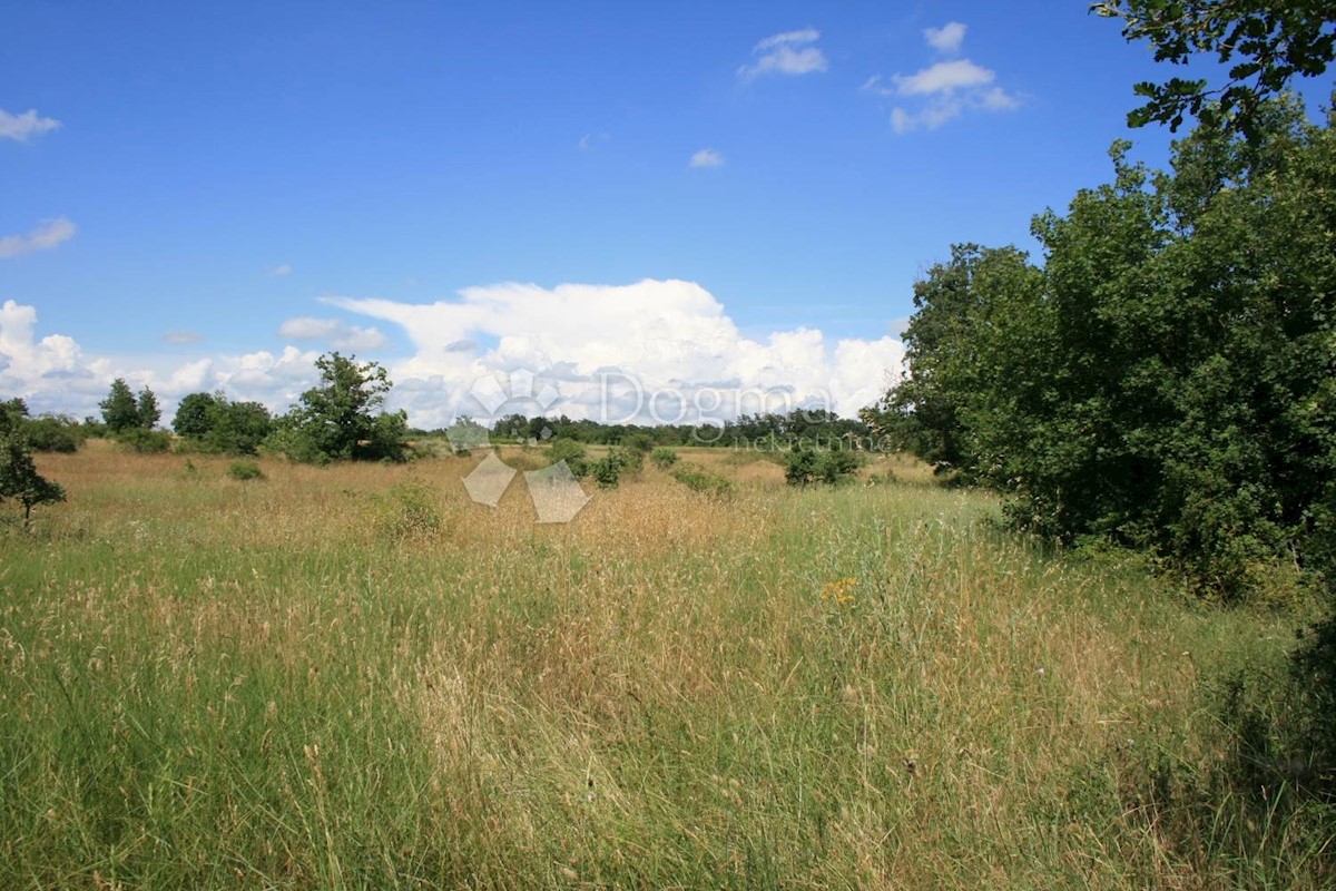 Terreno Svetvinčenat, 12.607m2