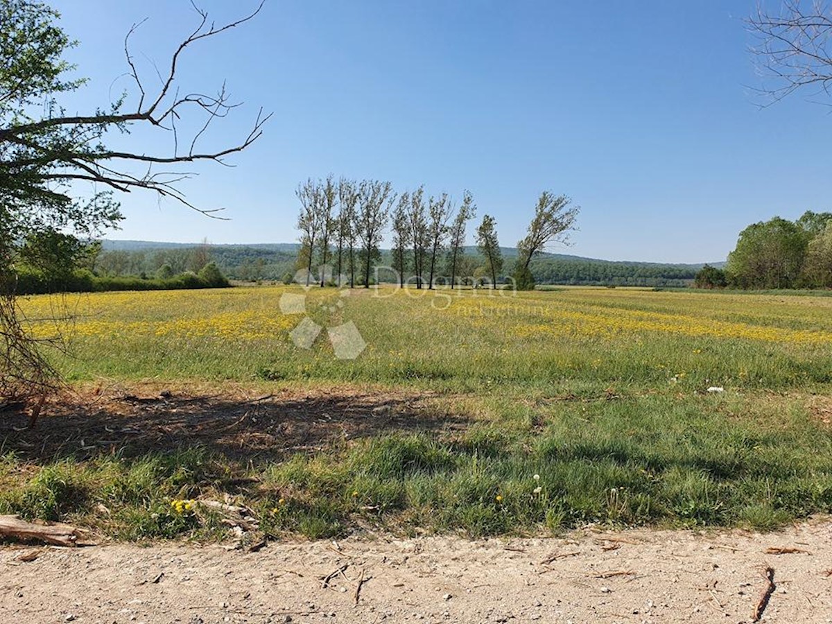 Terreno Kršan, 15.512m2